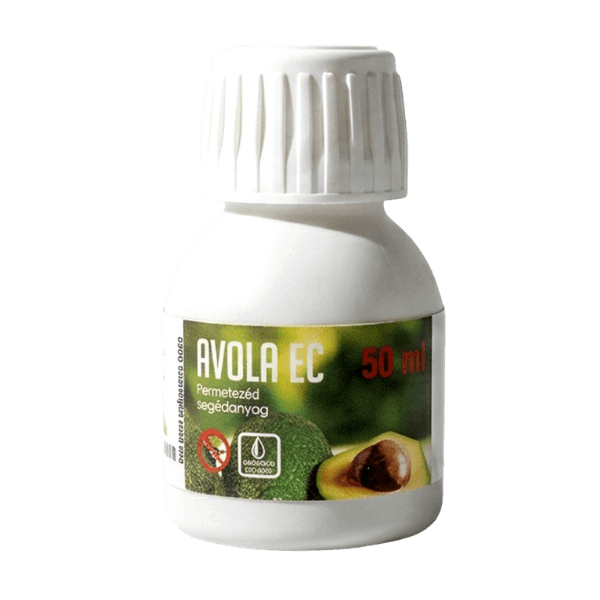 Avola EC